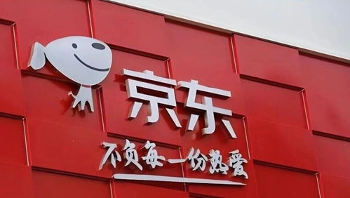 日用百货撑起京东零售 利润下滑超50%背后，外卖业务仍需持续输血